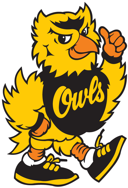 Kennesaw State Owls 1992-2011 Mascot Logo iron on transfers for clothing